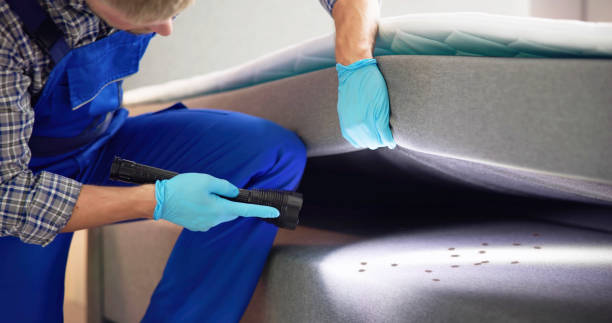 Professional Pest Control in Port Angeles, WA